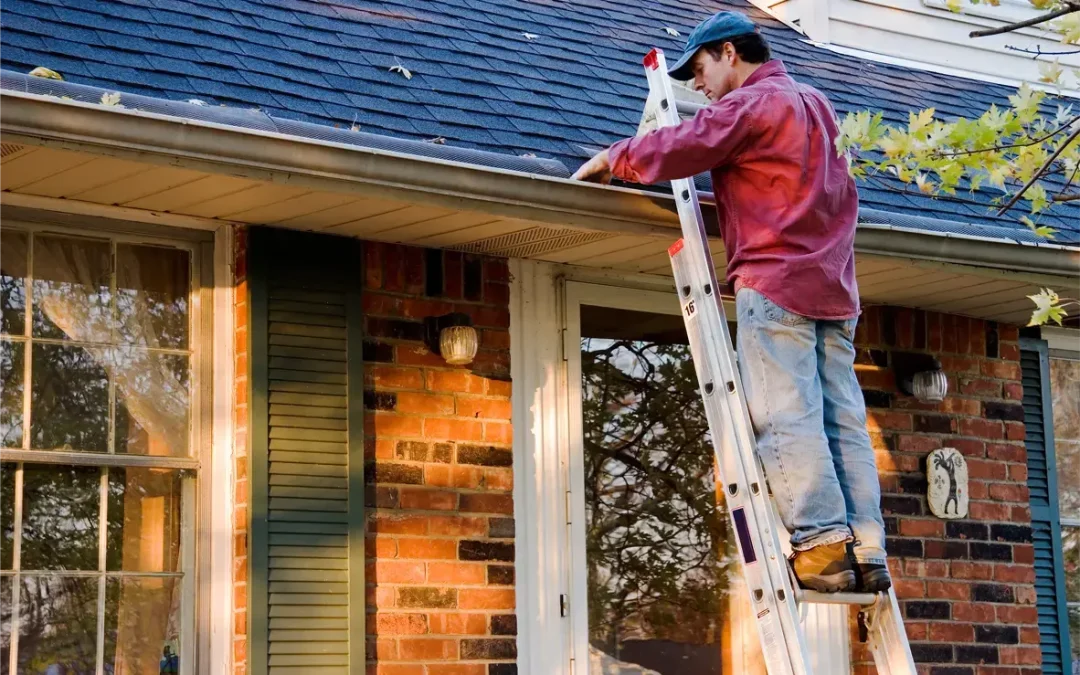 Autumnal Care: Navigating Fall Home Maintenance in Florida