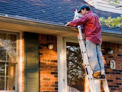 Autumnal Care: Navigating Fall Home Maintenance in Florida Autumnal Care: Navigating Fall Home Maintenance in Florida
