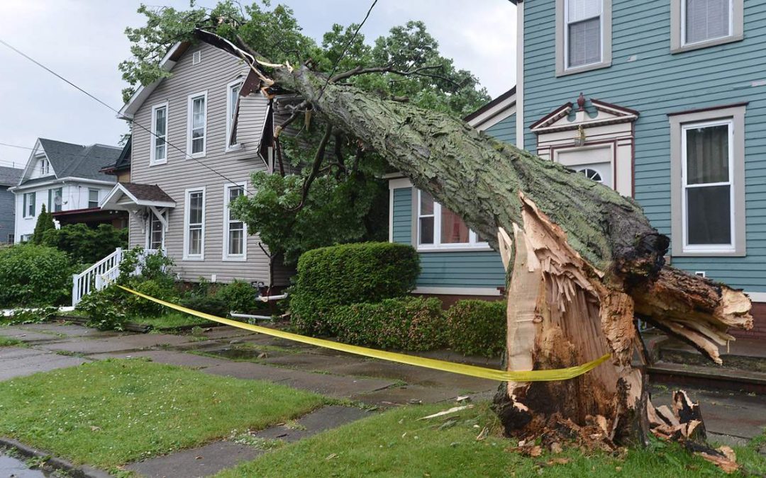 5 Reasons Why an Insurance Company May Deny Your Hurricane Claim