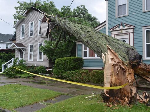 5 Reasons Why an Insurance Company May Deny Your Hurricane Claim 5 Reasons Why an Insurance Company May Deny Your Hurricane Claim