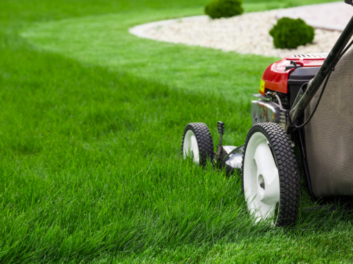 Seasonal Home Maintenance Tips for Florida Residents: Summer Edition Seasonal Home Maintenance Tips for Florida Residents: Summer Edition