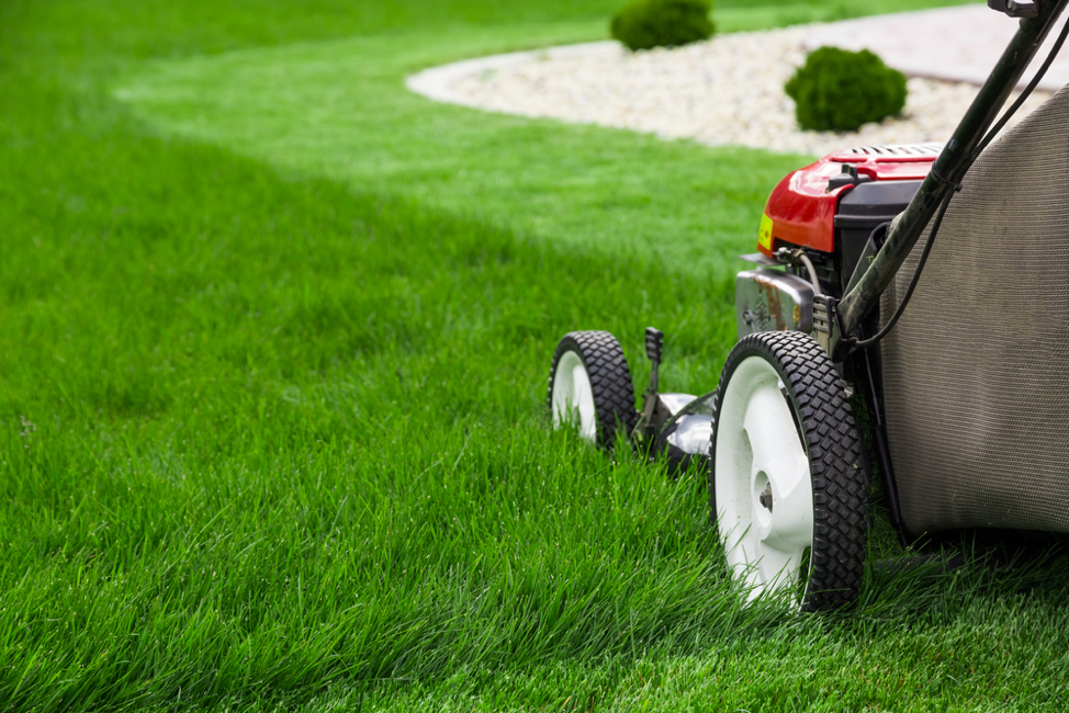 Seasonal Home Maintenance Tips for Florida Residents: Summer Edition