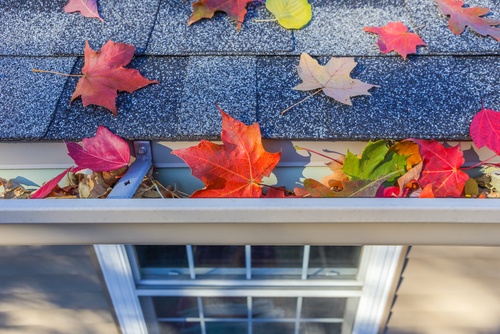 Fall Home Maintenance Tips