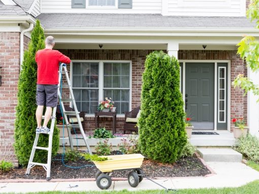 Spring into Home Maintenance Mode in Florida Spring into Home Maintenance Mode in Florida
