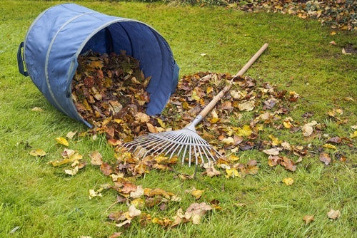 3 Tips for Better Fall Clean Up