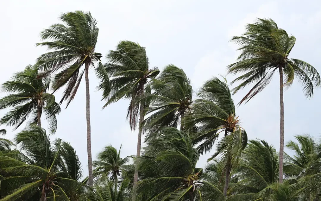 Monitor Your Home for Storm Damage During Severe Florida Weather