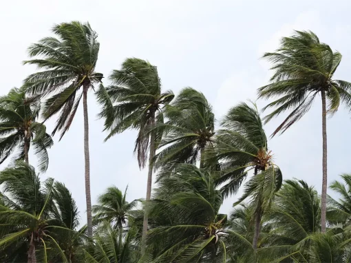 Monitor Your Home for Storm Damage During Severe Florida Weather Monitor Your Home for Storm Damage During Severe Florida Weather